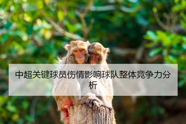 中超关键球员伤情影响球队整体竞争力分析（GrandLisboa）